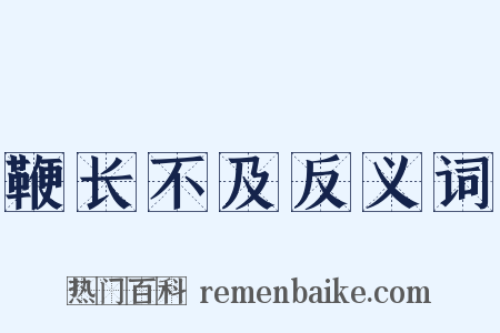 鞭长不及反义词是什么意思的图片